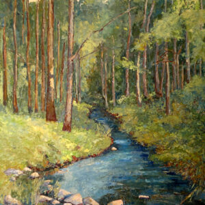 Knysna River 1970