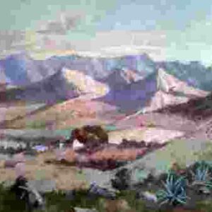 Mountian Valley Scene