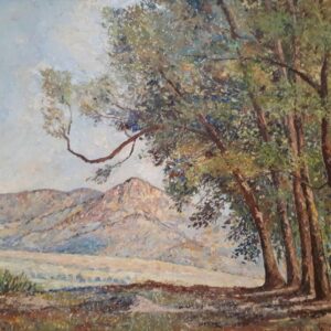 Trees & Mountains